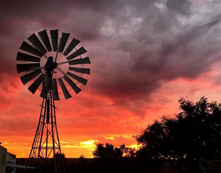 Commercial Property for Sale in Wilgeboom A H North West